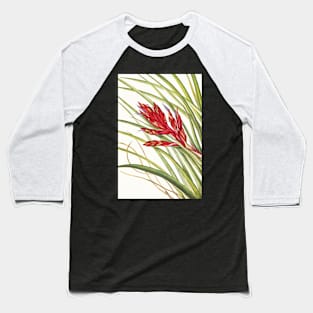 Giant airplant - Botanical Illustration Baseball T-Shirt